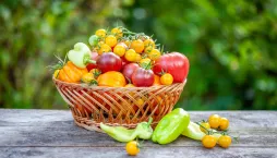 Předpěstování zeleniny od výsevu po silnou sazenici