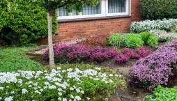 Bezúdržbová zahrada