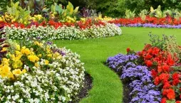 Oddělení záhonu od trávníku