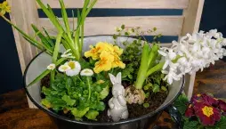  Jarní minizahrádka: inspirace, která promění obyčejnou nádobu v malý kvetoucí svět