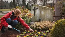 Osázení hrobu na slunci