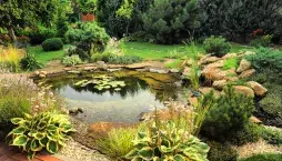 Přírodní jezírko