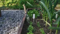 Bylinkové cedulky: Inspirace z praxe i originální DIY nápady