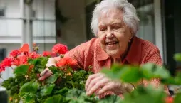 Péče o balkonové rostliny