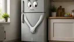 Jak vypadají čisté a správně uspořádané lednice a správná péče?