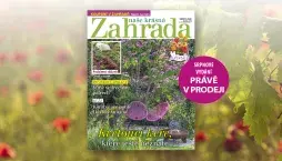 Naše krásná zahrada: srpen 2026 