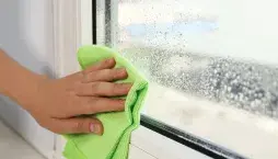 Jak se zbavit vlhkosti
