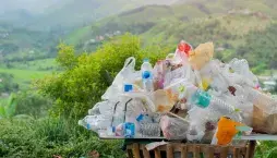 Omezování plastů v praxi. Hotelové minišampony, sáčky s omáčkami a vlastní hrnky a krabičky