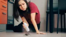 Buďte hodní a pavouky v bytě hned nezabíjejte