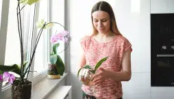 Pěstování orchideje ve vodě 