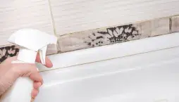 Plíseň v koupelně