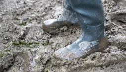I v zahradách s podmáčenou půdou je možné něco pěstovat