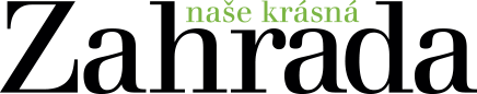 NKZ logo